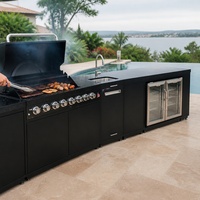 Armoire de rangement de luxe en acier inoxydable pour barbecue, avec portes et tiroirs réglables, pour cuisine extérieure, étanche, pour terrasse et jardin