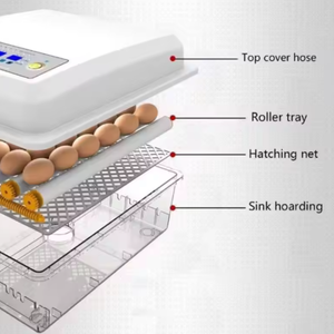 Incubadora Familiar para Granja, Modelo Totalmente Automático, Control Inteligente de Temperatura, Apta para Pollos, Patos y Gansos - Product Image 1