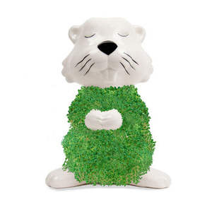 Poilu <span class=keywords><strong>castor</strong></span> Chia planteur Kit de culture Chia animaux de compagnie pour enfants animaux classique lama Chia animal de compagnie maison bureau plante décor cadeau - Product Image 4