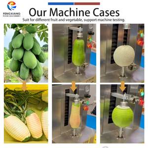 آلة تقشير الفواكه الصغيرة من الفولاذ المقاوم للصدأ لتقشير البطيخ والبابايا والمانجو وجوز الهند والأناناس - Product Image 3