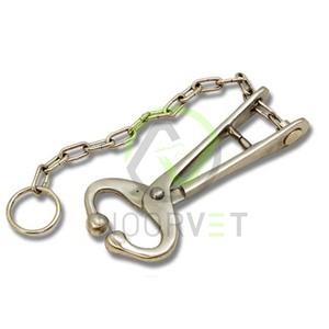 Herramienta veterinaria de plomo para granja de vaca, vaca, Toro, nariz, plomo con cadena, vaca lechera - Product Image 2