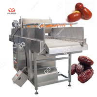 Gelgoog Automatische 500 Kg/u Dadels Sorter Wasmachine Reiniger Droge Palm Dadels Borstel Reinigingsmachines Dadels Wasmachine