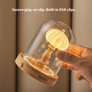 מעטפת זכוכית בהשראת ים קיפוד ים-מנורת חוט - Product Image 2