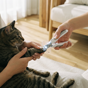 Professional Pet Nail Clipper with LED <b>Light</b> for <b>Dogs</b> and Cats LED <b>Dog</b> Nail Trimmers with Bloodline Finder and Safety Guard - Product Image 6