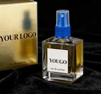 Parfum Unisexe de Haute Qualité Original pour Rouge 540 Extrait de Parfum Cologne Homme & Femme Vente en Gros
