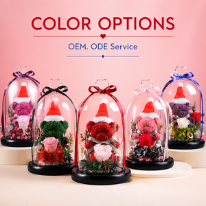 Fleur Éternelle Préservée, Ours en Fleurs Préservées, Ours en Peluche, Cadeau de Noël, Décoration de Mariage de Haute Qualité, Étanche - Product Image 2