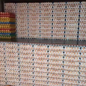 علبة قفص البيض بطبقة بلاستيكية بوهيمية سعة 5*30 بيضة أدوات نقل دوارة معدات الدواجن ديكور منزلي - Product Image 2