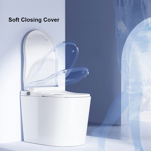 Power-Free Smart <strong>Toilet</strong> With Dual Front And Rear Wash S-Trap Drainage Concealed Tank For Apartments Without Stable Electricity - Product Image 6