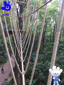 アドベンチャーパークスリル満点のスカイライドとサスペンションブリッジアミューズメントパークの屋外遊び場 - Product Image 4