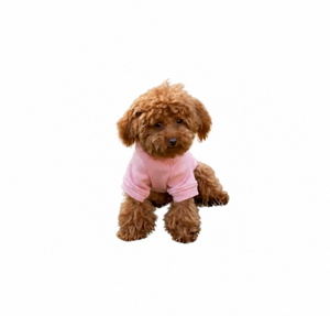Ropa Cálida de Invierno para Perros, Sudadera con Capucha para Perros para Clima Frío, Ropa para Perros para Exteriores, Atuendo de Invierno para Perros, Ropa Extra Cálida para Perros - Product Image 4