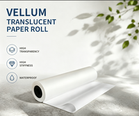 Rouleaux de papier vélin transparent de 65 g pour travaux manuels DIY