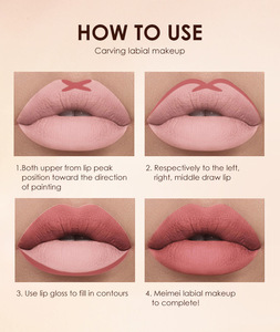 Kit de Maquillage Lèvres Effet Nude Éclatant : Crayon et Rouge à Lèvres Mat Haute Pigmentation, Imperméable – Soin des Lèvres Cosmétique – Meilleures Ventes - Product Image 5