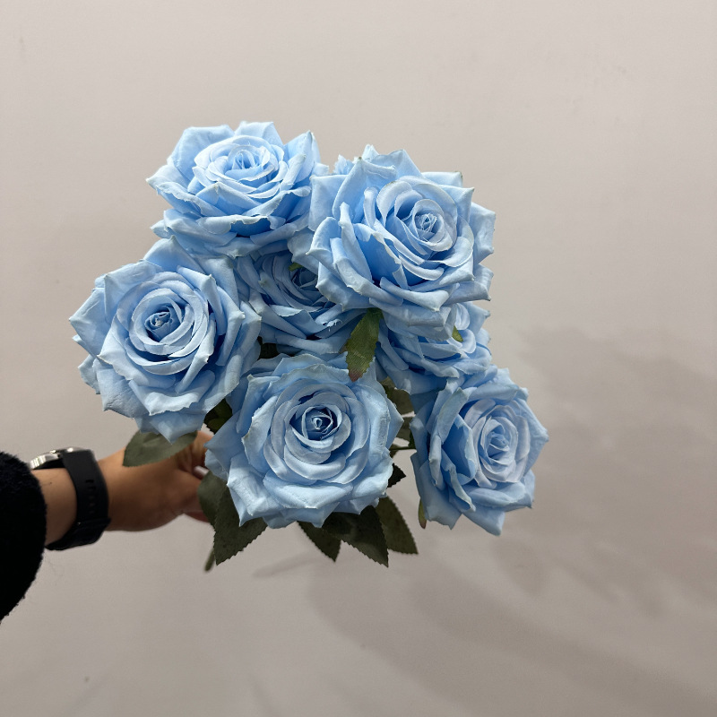 Bleu clair
