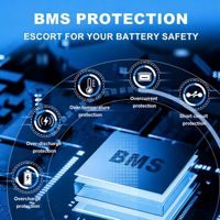 Batterie Lifepo4 à décharge profonde Anern 12V 100Ah 200Ah 300Ah pour stockage d'énergie solaire, batterie lithium-ion Lifepo4