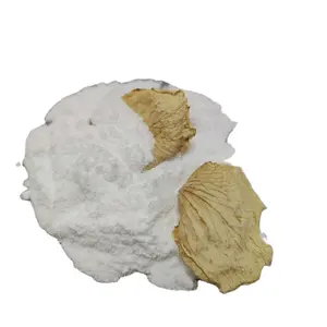 Food Grade Food Additive K2HPO4 Di-Potassium Phosphate (DKP) High Quality Competitive Price