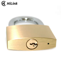 HiLink BRP40 Fabricant personnalisé Cadenas en laiton durci anti-coupure robuste pour extérieur avec anse en acier et clé CE