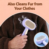 Peigne double face sans rinçage pour enlever les poils, outil de toilettage 2-en-1 pour chats et chiens, élimination des poils lâches