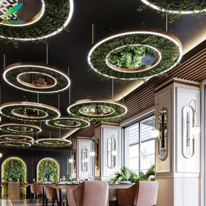 실내 가정 장식 식물 꽃 펜던트 빛 블랙 알루미늄 주방 식당 직사각형 천장 교수형 식물 샹들리에 - Product Image 2