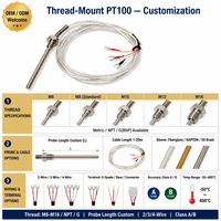 Sonde en acier inoxydable PT100 RTD à montage fileté Huadong avec fils de connexion tressés en fibre de verre haute température