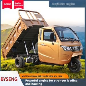 Hotselling vận chuyển hàng hóa nông nghiệp ba bánh xe máy xăng-powered tán xe Giao thông vận tải nông nghiệp ba bánh - Product Image 5