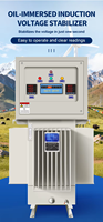 Régulateur de tension triphasé étanche pour extérieur, 300 kVA, type huile, 220 V/380 V, 50/60 Hz, usage industriel, prix direct usine