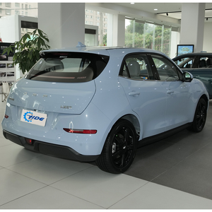 Great Wall Euler Good Cat 2024 todas las versiones coches eléctricos buen precio - Product Image 6