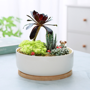 Pot de fleurs rond en céramique minimaliste moderne, grande taille, blanc, pour plantes vertes, bonsaï, avec trou de drainage, pour la maison, le bureau ou le jardin - Product Image 3