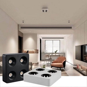 <b>Spotlight</b> High Quality Factory Direct Sales COB 10w 20w 30w 40w Led Wall Washer Adjust Hotel Lighting - Product Image 2