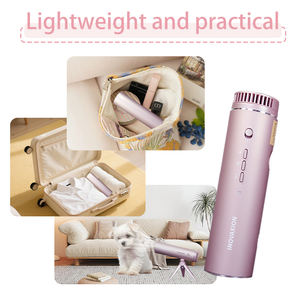 Sèche-cheveux pliable haute vitesse 1200W 2026 à technologie ionique avancée Revair, appareil ménager populaire en ligne, en promotion maintenant - Product Image 6