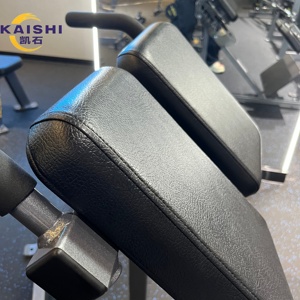 Máquina de Entrenamiento de Fuerza para Músculos de la Espalda Baja, Banco de Extensión Lumbar para Gimnasio Comercial - Product Image 4