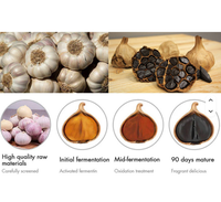 Équipement de Fermentation d'Ail Noir Industriel 500 kg par Lot, Machine Commerciale pour la Production d'Ail Noir
