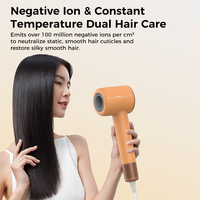 Sèche-cheveux ionique pliable à grande vitesse Binwang 100 millions d'ions négatifs pour usage hôtelier et domestique, température constante intelligente, séchage rapide