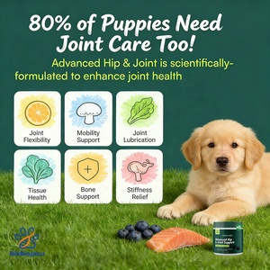 Integratore Avanzato per Anche e Articolazioni dei Cani OEM/ODM con Glucosamina, Condroitina, Compresse Masticabili per Razze di Cani di Taglia Grande - Product Image 5
