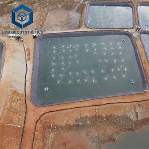 Nhà Máy Giá với cá trang trại Pond Liner HDPE geomembrane - Product Image 2