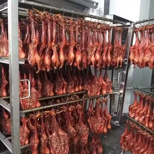 Meat Steamed <strong>Smoke</strong> Equipment Gas <strong>Smoke</strong> Oven Steam Indoor Tabletop Electric Smoker