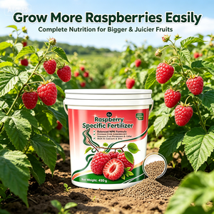 <span class=keywords><strong>Engrais</strong></span> en gros pour framboisiers, seau de 450g, riche en calcium et zinc, favorise la différenciation des bourgeons floraux, augmente la production de 80%, usage commercial - Product Image 3