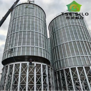 Silo de stockage de céréales (blé, paddy, graines de tournesol) pour projet clé en main - Product Image 3