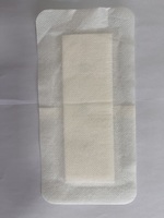 Pansement auto-adhésif pour cicatrices médicales, soin des plaies, 100 x 60 mm, 100 x 200 mm