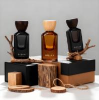 Flacon de parfum vide personnalisé 30ml 50ml 100ml Forme carrée en cube Verre épais Vaporisateur fin à brume Flacon de parfum givré avec boîte cadeau