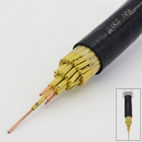 Câble de commande résistant au feu NH-KVV, cuivre, isolation PVC, bande de mica, 450/750V, multiconducteurs pour circuit d'alarme incendie et circuit d'urgence