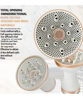 Vente directe d'usine Diffuseur d'air chaud ionique Sèche-cheveux compact et doux avec protection des cheveux bouclés pour hôtels