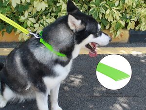 NiBao personalizado varios colores disponibles <span class=keywords><strong>collar</strong></span> al aire libre resistente a la intemperie para perro con hebilla de plástico de liberación rápida - Product Image 4