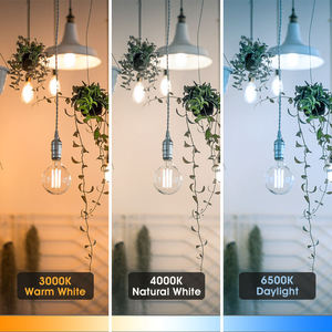 Oem bán buôn E14/E12/E27/E26/B22 tiết kiệm điện bền bóng đèn thông minh nhà trong nhà A60 mềm LED Filament thay đổi độ sáng bóng đèn - Product Image 6