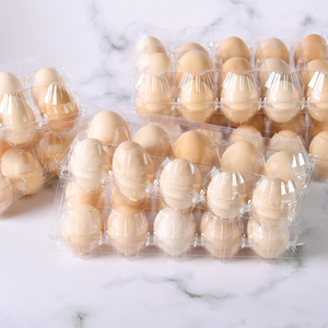 プラスチック製卵トレイ6/8/10/15/30穴透明透明使い捨てブリサー卵カートン - Product Image 2