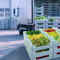 Boîte d'emballage en polypropylène ondulé personnalisée empilable pour okra, résistante aux basses températures, en gros