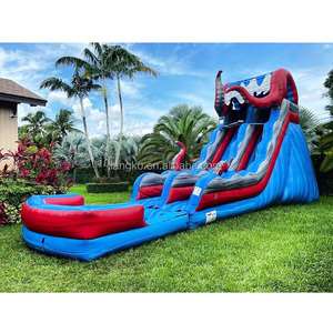 Toboggans aquatiques gonflables commerciaux pour l'extérieur, toboggans aquatiques en forme de pieuvre <span class=keywords><strong>avec</strong></span> <span class=keywords><strong>piscine</strong></span> pour les fêtes - Product Image 1