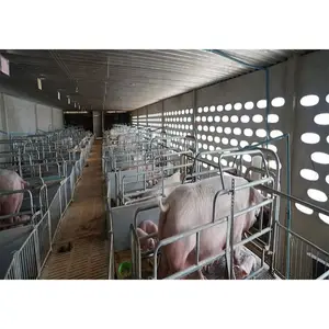 Luxus-fertighaus automatisierte Stahlkonstruktion Schweinfarm-Hausbau zum Verkauf