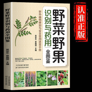 Guía ilustrada auténtica sobre verduras silvestres, frutas, identificación, usos medicinales, consumo seguro, modelo de guía para principiantes - Product Image 5