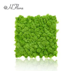 Hflora Offre Spéciale naturel mousse préservée meilleur vendeur préservé renne mousse panneau stabilisé pour la décoration de mariage - Product Image 2