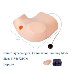 Modello avanzato di formazione per diagnosi interna ginecologica modello di esame femminile palpazione uterina ed esame visivo - Product Image 3
